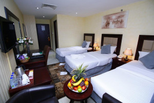 Gallery | Royal Falcon Hotel 5